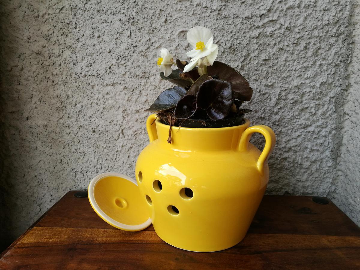 马瑞纳迪卡拉拉 Ca Giuliana酒店 外观 照片