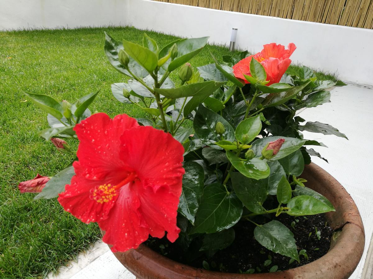马瑞纳迪卡拉拉 Ca Giuliana酒店 外观 照片